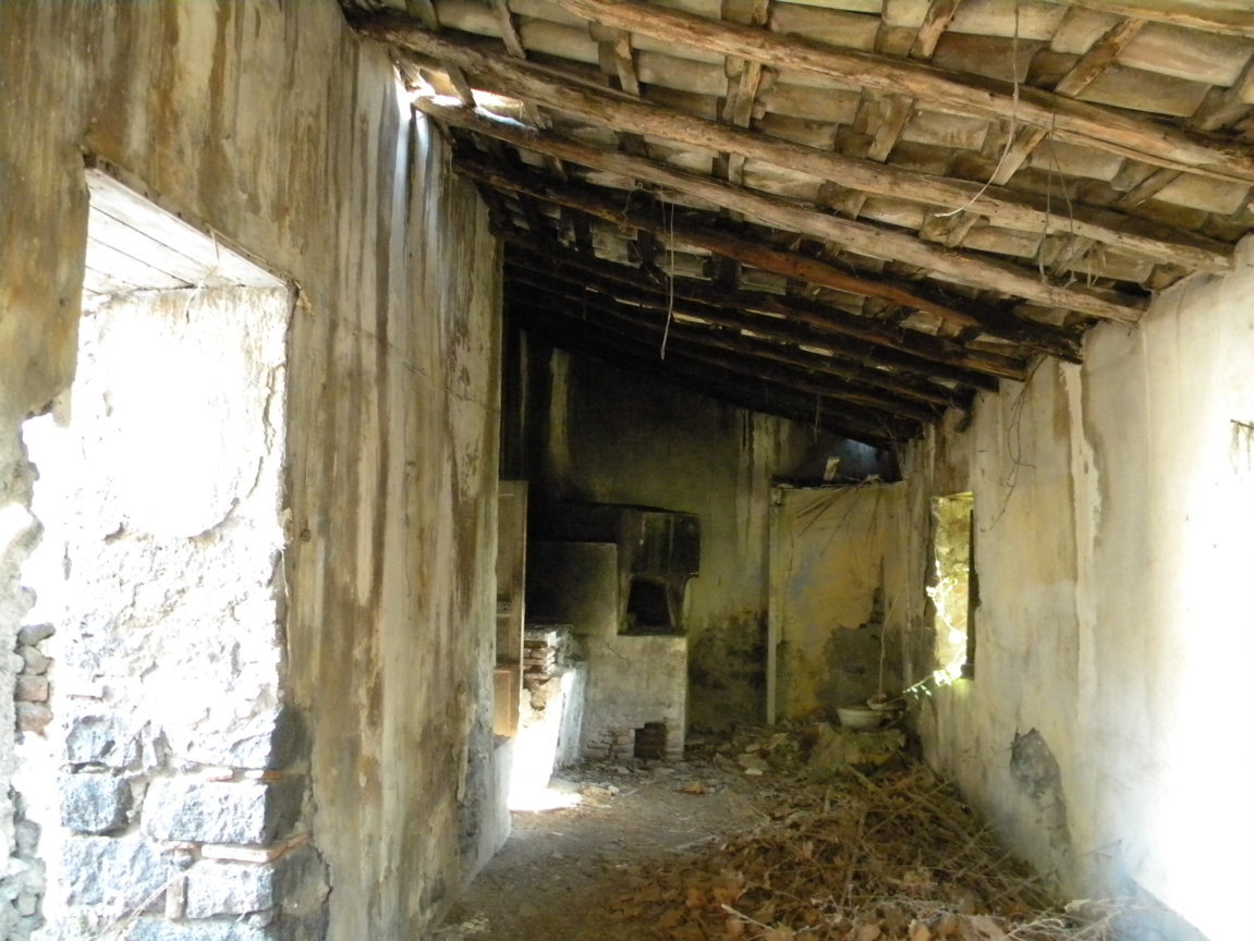DSCN7994 .JPG